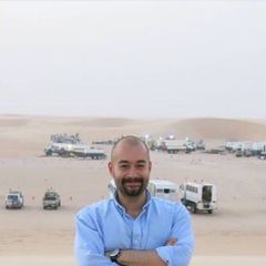 محمود شفيق سعيد, senior data analyst