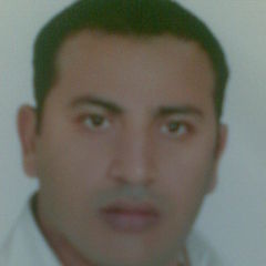 Ahmed Mostafa, head waiter