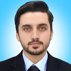 Syed Fahad Ali Shah, Assistant Accounts Officer