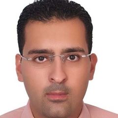 وليد جمال يوسف القصراوي, Project Manager