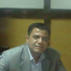محمد السيد محمد شلبى شلبى, مدير الحسابات