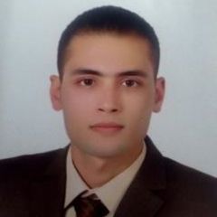 Sherif Mansour, branch financial controller