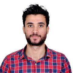 عبدالعزيز السيد محمود طلخان, Civil Engineer