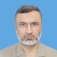 Raja Muhammad Shoaib, Associate Professor