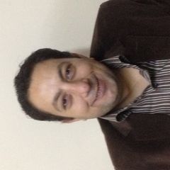 GIRGIS WILLIAM KHAIR, نائب مدير ادارة