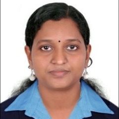Vidhya رينجيث, .Net Web Developer