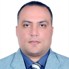Magdy Dawoud, Librarian