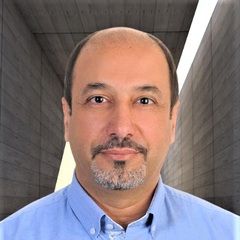 Salah  El Najjar, Freelancer Expert 