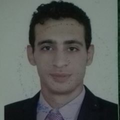 Ahmed Mohamed metwally El-Dieb ELdieb,   pharmaciest