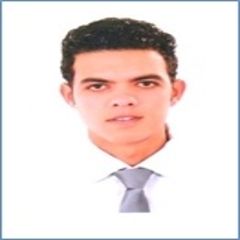 أحمد إسماعيل, Sales Manager