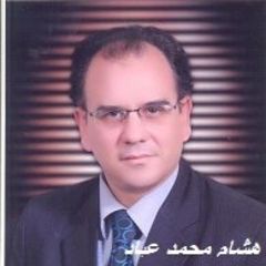 Hisham Ayiad, مساعد مدير عام قطاع التنفيذ 
