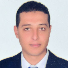 ahmed abdelmagid oun, محامي