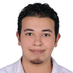 Ahmed Moustafa, Customer Service Representative