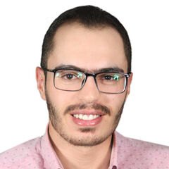 محمد الجلاد, Financial Accountant