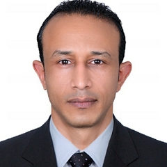 Mohamed Hassan