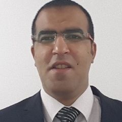 Ehab Samir Youssef - Senior Accounting Manager - Bayt.com People