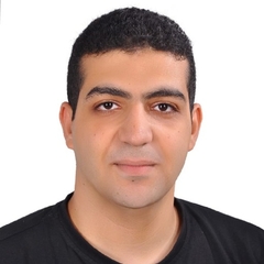 أحمد المصري, Interior Architect