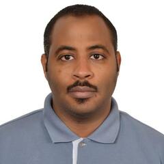 Isameldeen  Elbadawi Mohamed Daffallah