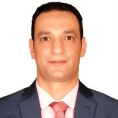 Ramy Tantawy, Security Manager