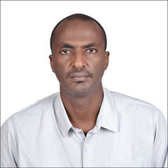 muiz mohamed abas ahmed ahmed, site project manager