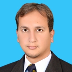 Syed Mansoor Ali