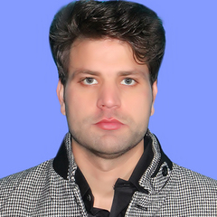 Wajid  Ullah 