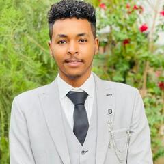 Mohamed Hassan Ebrahim  Abass