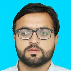 Rizwan  Ullah 