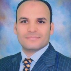 ممدوح أحمد عبد الرحمن, Procurement & Contracts Officer