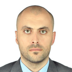 Fady Zamel, Online sales representative