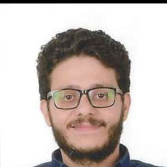 Aly Abdeldayem, Security Systems Manager 
