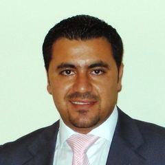Hamza Abdel Hafeez, Strategy and Performance Specialist