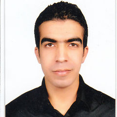 احمد سمير عبد الحميد, Talent Acquisition Specialist