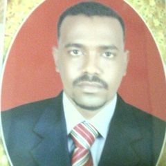 Mohammed Bakri Osman Abdalseed, Electrical Engineer 