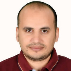 Hany Mohammed Hafez الشيخ, Senior Oracle Application Technical Consultant