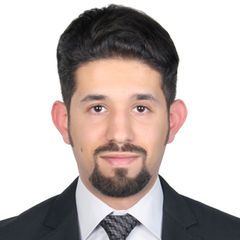 Hamza Elsaafin, Project Manager
