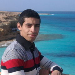 محمد صبحى عبد الستار الخولى, Site Manager- Assistant Executive Engineer