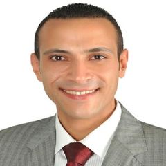Ahmed Allam, Regional Sales Manager