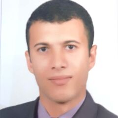 Mohamed Rashad Elsayed, Community Pharmacist