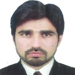 Muhammad Waqas Hassan Wali