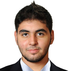 Mostafa Allababidi, Organizer