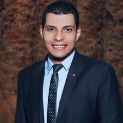 mohamed amin