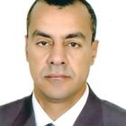 mamdouh mahmoud  ali, project manager 
