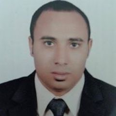 احمد زكي توفيق علي, service advisor
