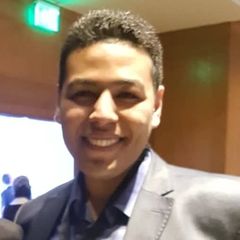 Mohamed El-Shazly, Software Developer