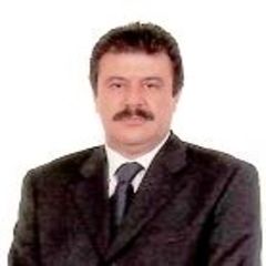 Adel Abdelkareem CHIBA, General Manager