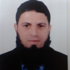  Hany Salah El Sayed Hafny, Project Procurement Manager