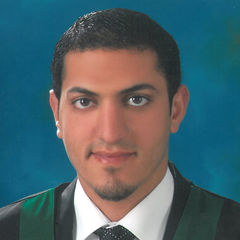 Hammam Amsha, Team Leader