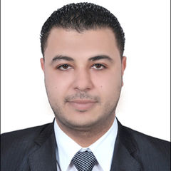 محمد الغمرى, Sales Manager