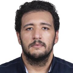 Amr Fahmy, Customer Service Executive